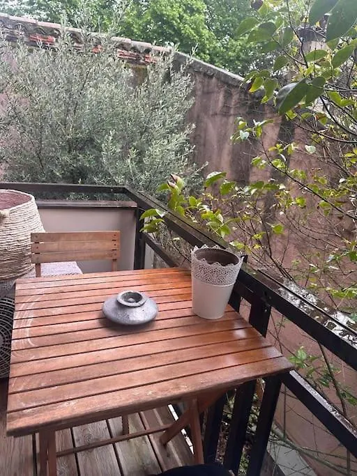 Appartement Jardin Des Plantes Parking Securise Terrasse Et Ascenseur à Toulouse 0*,